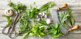 Herbs
